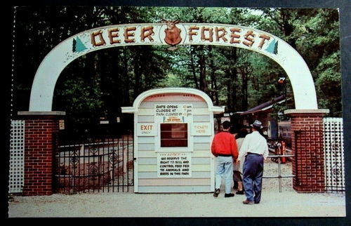 Deer Forest - Photos From Old Park Website (newer photo)